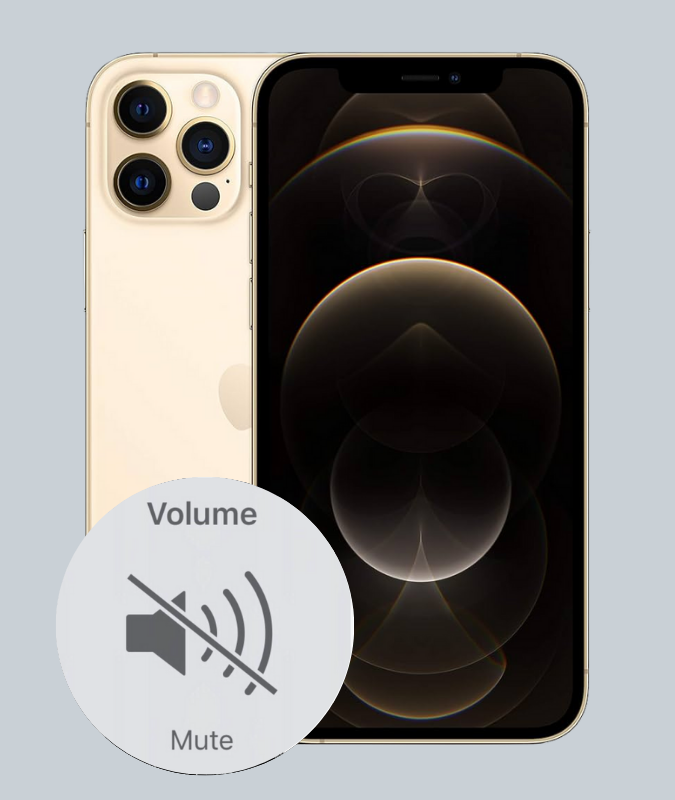 Phone Lautsprecher-Reparatur - Professionelle Instandsetzung